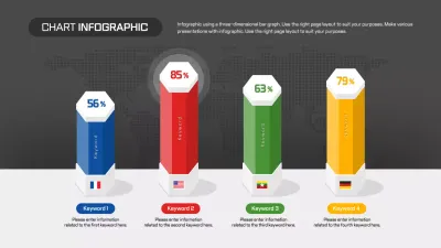 Grey Modern Presentation Infographic