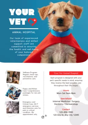 Blue Modern Vet Promotion Poster
