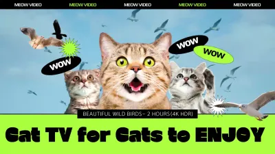 Promote a video with images of birds and cats in lime green and black.