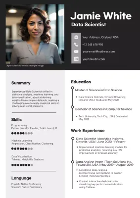 Black Professional Data Resume