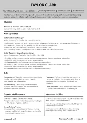 Grey Professional Resume Document